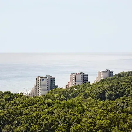 Hotel Boryana 4*