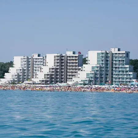 Boryana