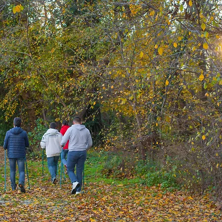 Boryana Hotel Albena